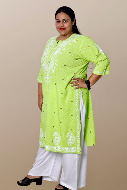 Plus Size Lucknowi Chikankari Hand Embroidered Printed Straight Kurta Kurti for Women