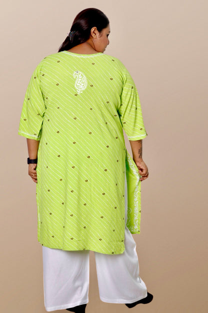 Plus Size Lucknowi Chikankari Hand Embroidered Printed Straight Kurta Kurti for Women